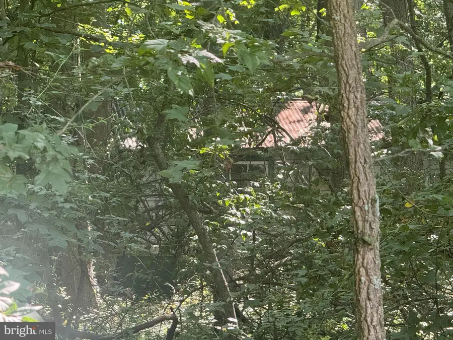 Allens Ln, Rock Hall, MD 21661 - Image #3