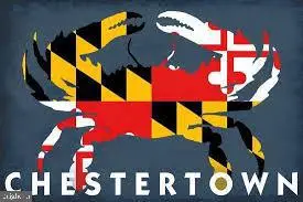 100 Metcalf Rd, Chestertown, MD 21620 - Image #3
