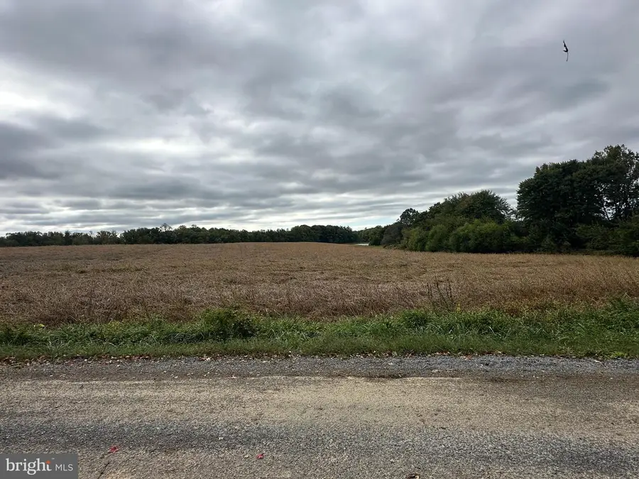 11047 Bottom Rd, Worton, MD 21678 - Image #3