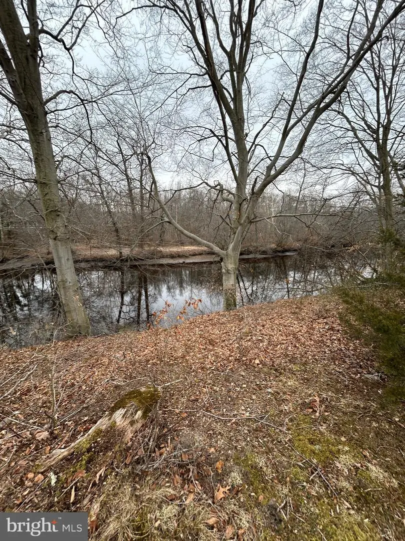 31729 W Edge Rd, Millington, MD 21651 - #2