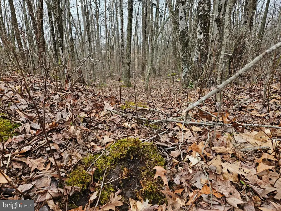 Bradford Johnson Rd, Golts, MD 21635 - #3