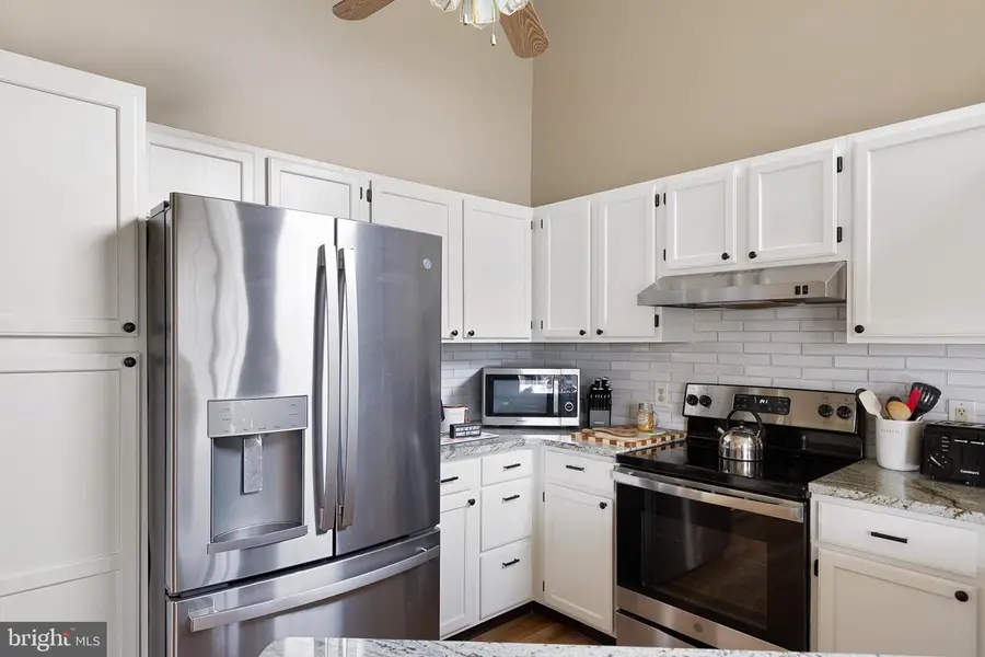 196 Birchwood Ln, Galena, MD 21635 - #3