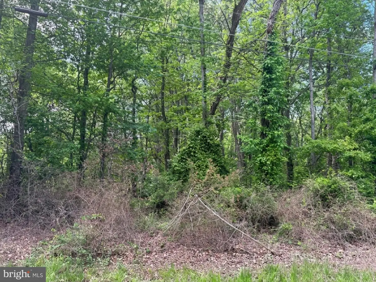 Lenapah Rd, Chestertown, MD 21620 - #1