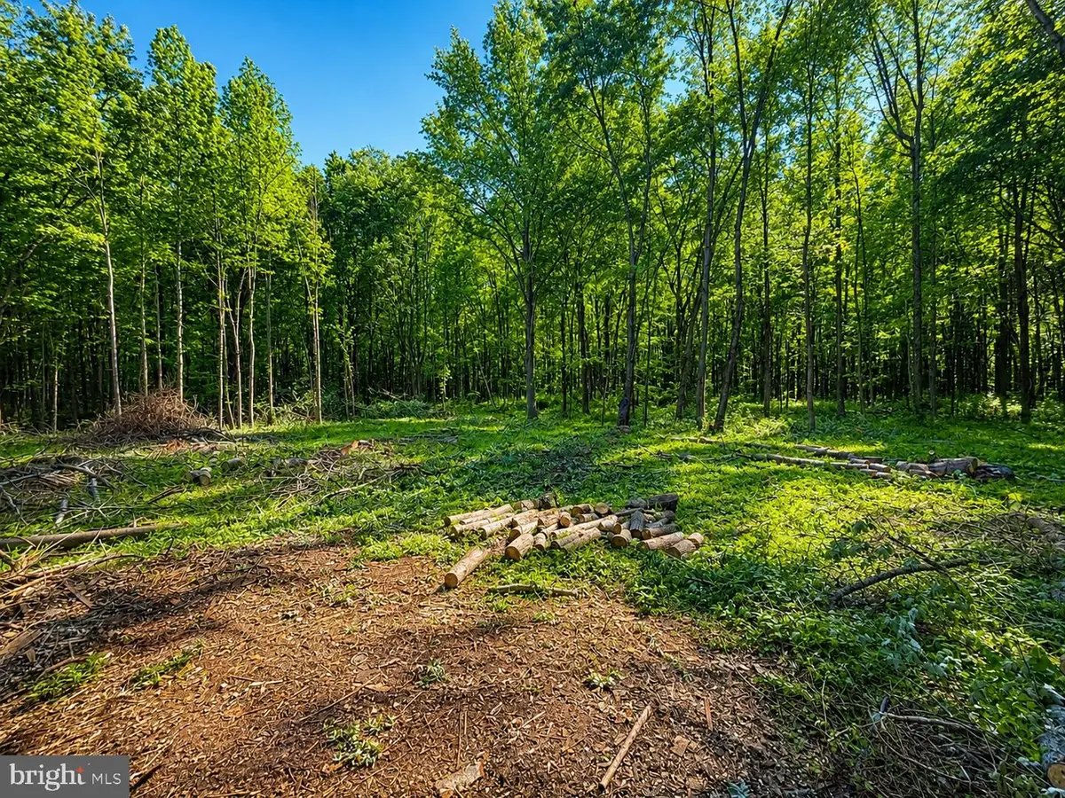 Sandy Bottom Rd, Chestertown, MD 21620 - #1
