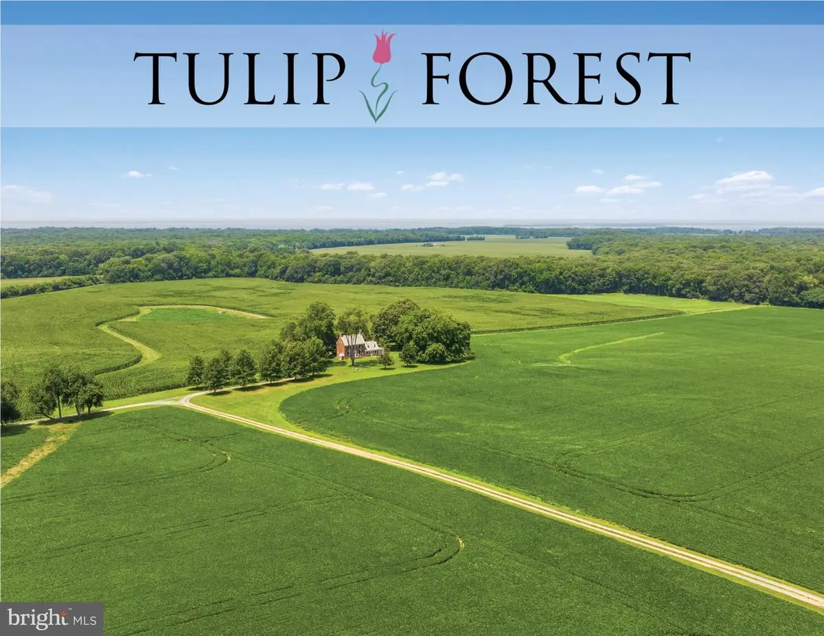 8184 Rock Hall Rd, Chestertown, MD 21620 - #1