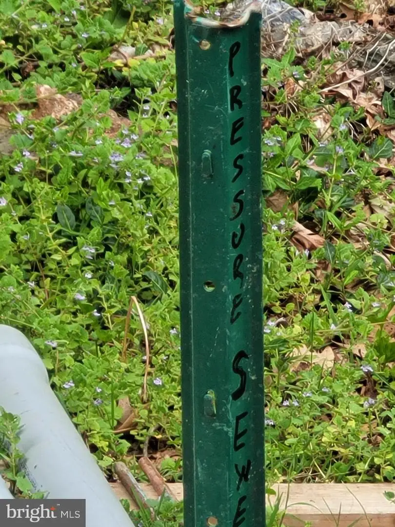 11027 Locust Dr, Damascus, MD 20872 - Image #3