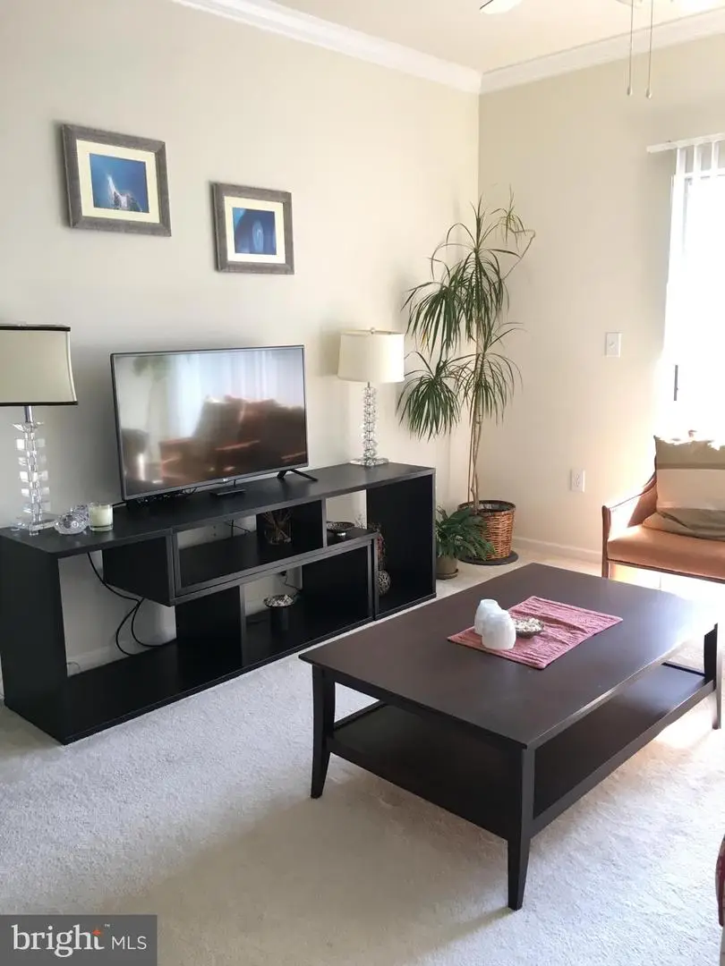 19609 Galway Bay Cir #303, Germantown, MD 20874 - Image #3