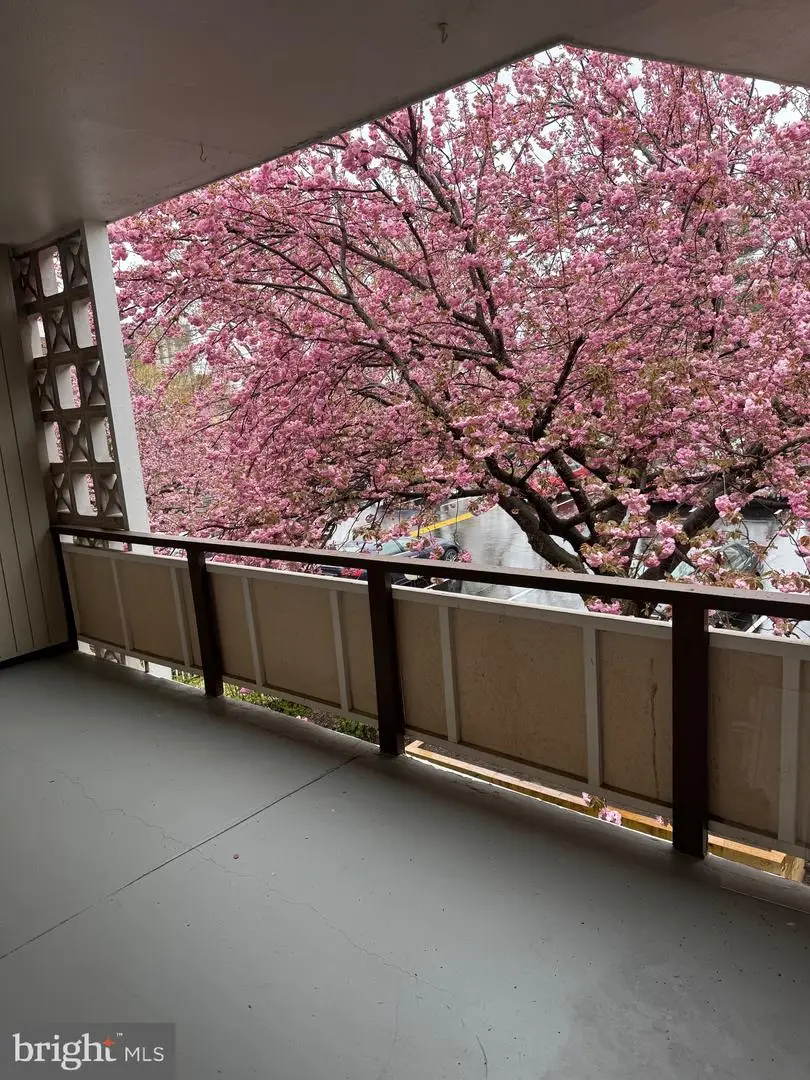 7553 Springlake Dr #d, Bethesda, MD 20817 - Image #3