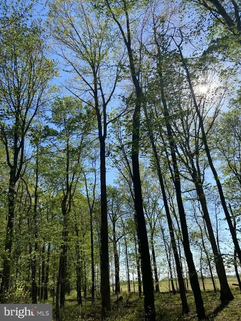 17007 Whites Ferry Rd, Poolesville, MD 20837 - Image #2