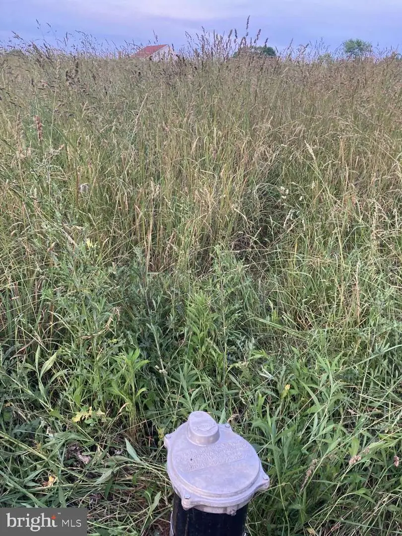 25526 Burnt Hill Rd, Clarksburg, MD 20871 - Image #3