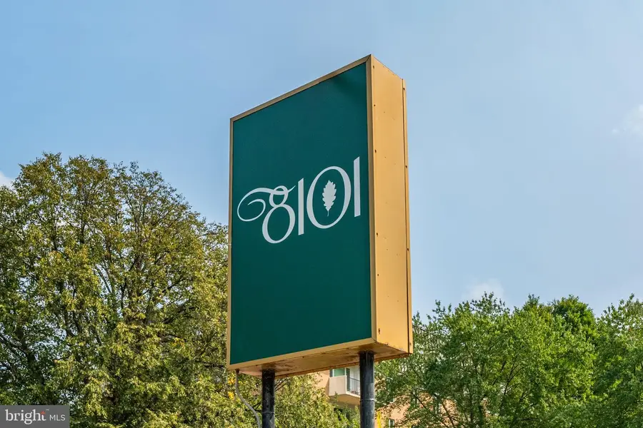 8101 Connecticut Ave #n109, Chevy Chase, MD 20815 - Image #3