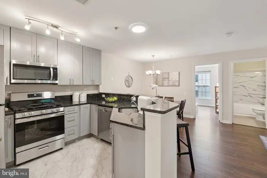 18801 Sparkling Water Dr #8/202, Germantown, MD 20874 - Image #2