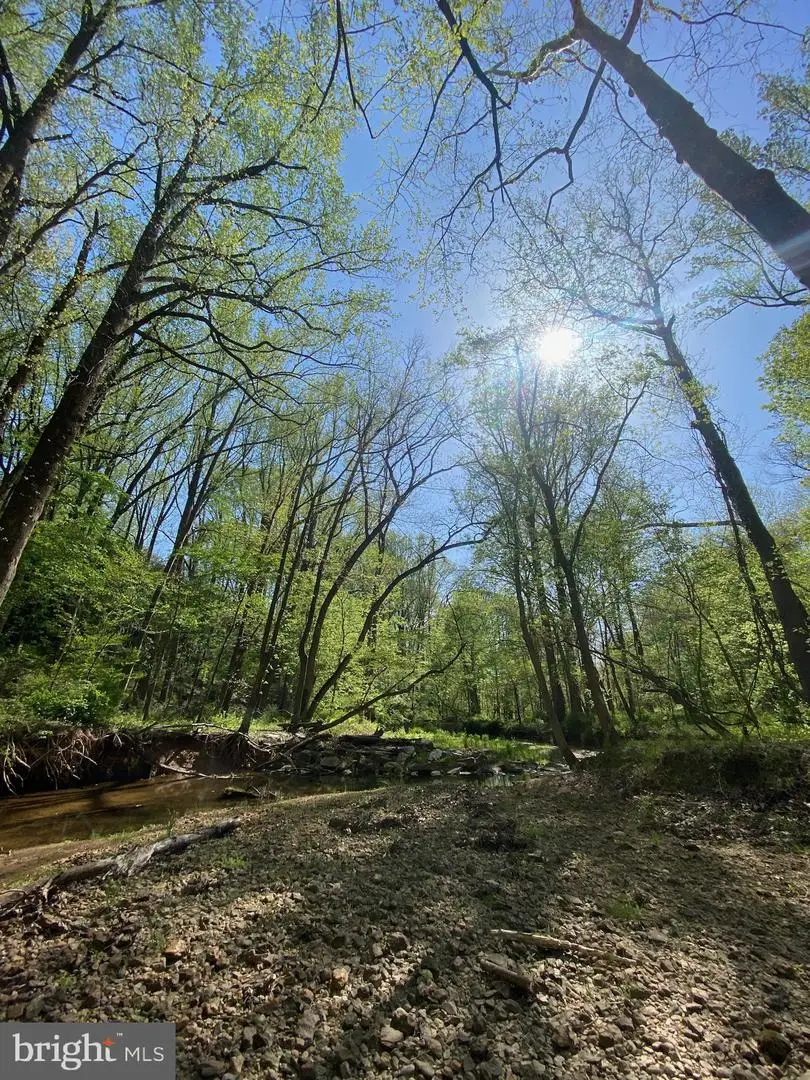 11800 Glen Mill Rd, Potomac, MD 20854 - Image #2