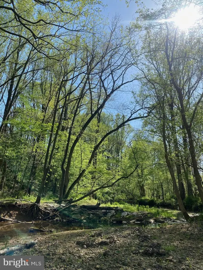 11800 Glen Mill Rd, Potomac, MD 20854 - Image #3