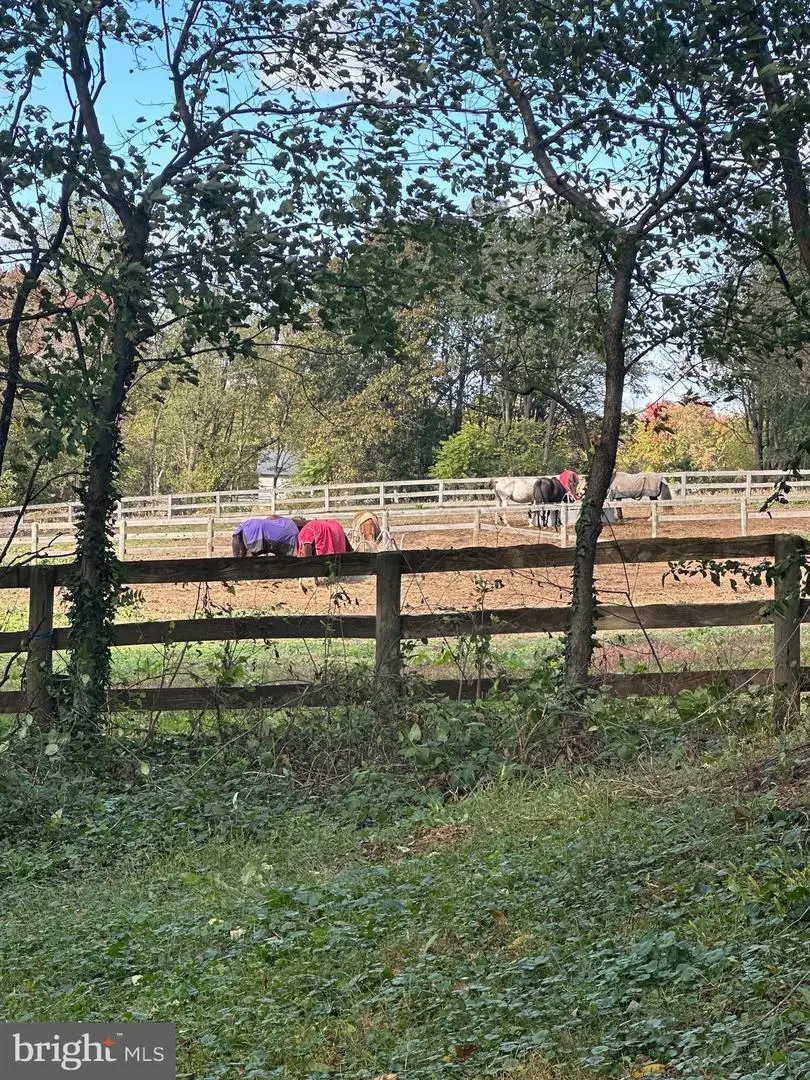 18524 Beallsville Rd, Poolesville, MD 20837 - Image #3