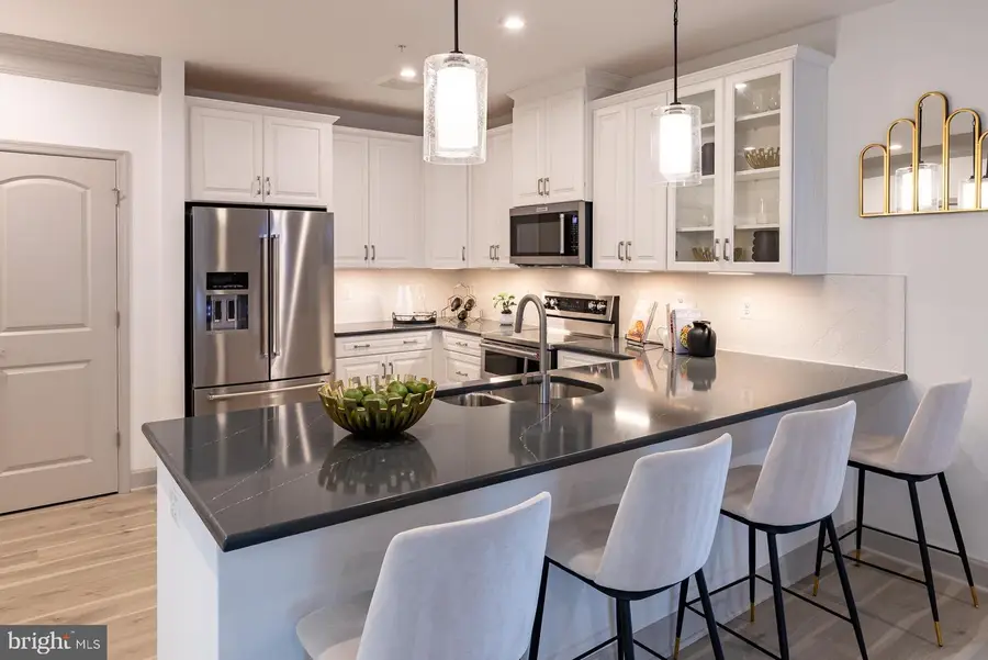 13240 Petrel St #5207, Clarksburg, MD 20871 - Image #2