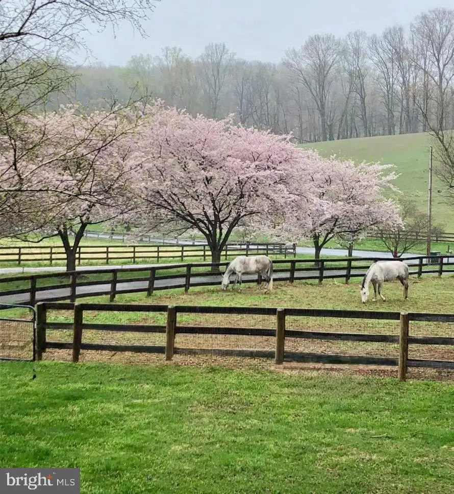 26410 Haines Rd, Clarksburg, MD 20871 - Image #2