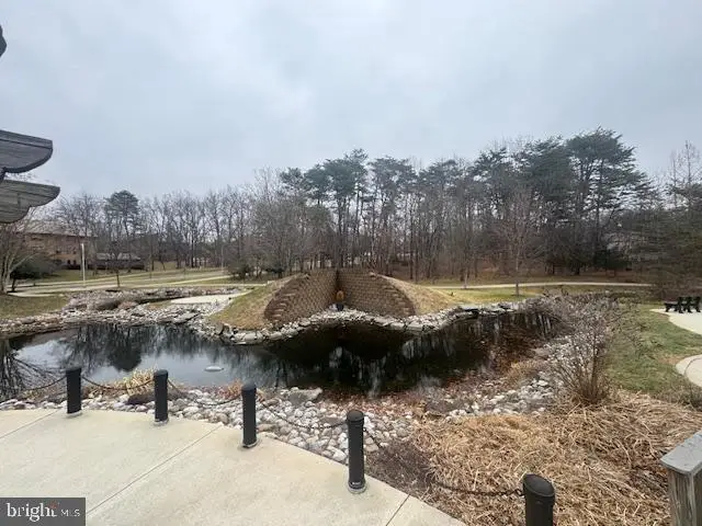 3100 N Leisure World Blvd #619, Silver Spring, MD 20906 - Image #2