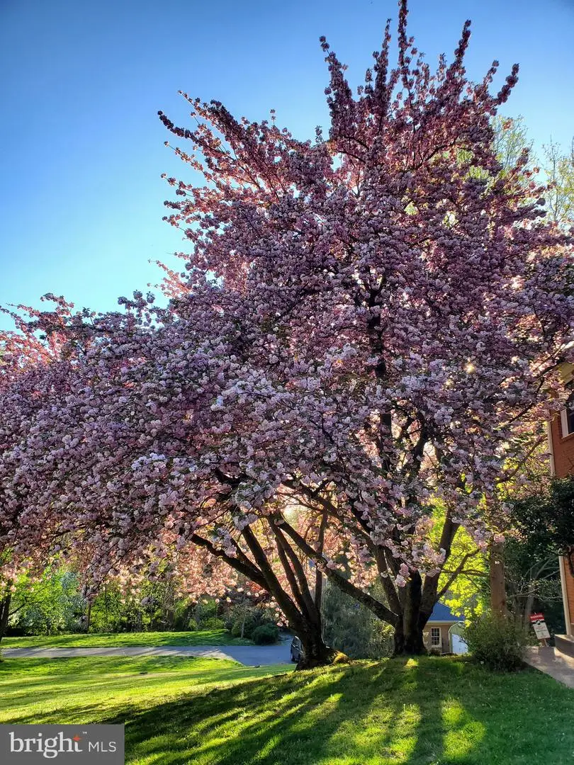 16424 Montecrest Ln, Gaithersburg, MD 20878 - Image #2