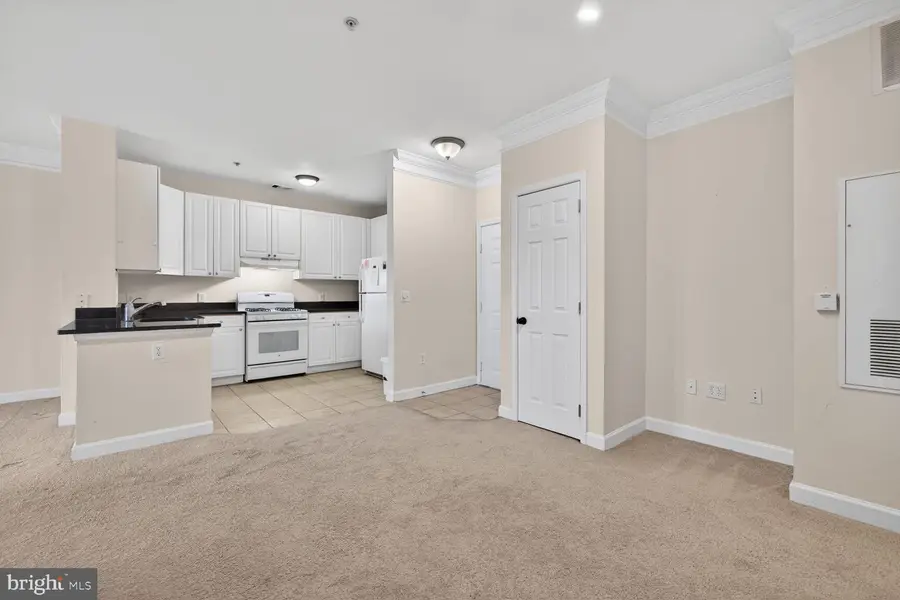 501 Hungerford Dr #337, Rockville, MD 20850 - Image #3