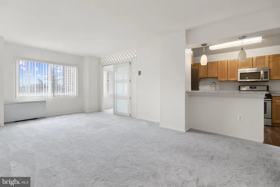 1111 University Blvd W #511-a, Silver Spring, MD 20902 - #2