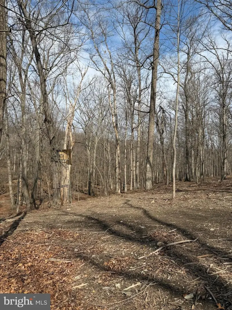 0 Gue Rd, Damascus, MD 20872 - #3