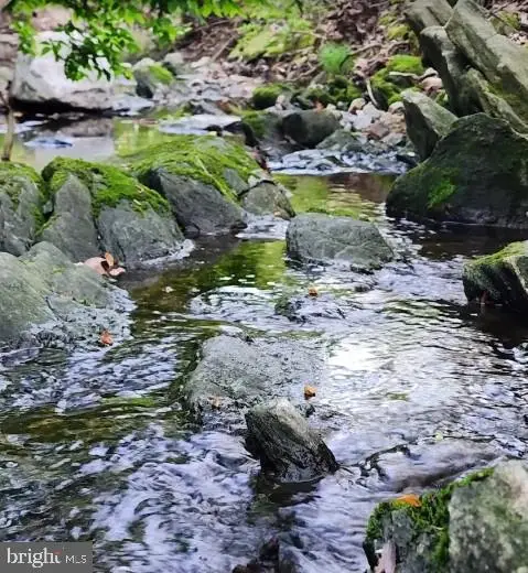 12605 Bluhill Rd, Silver Spring, MD 20906 - #3