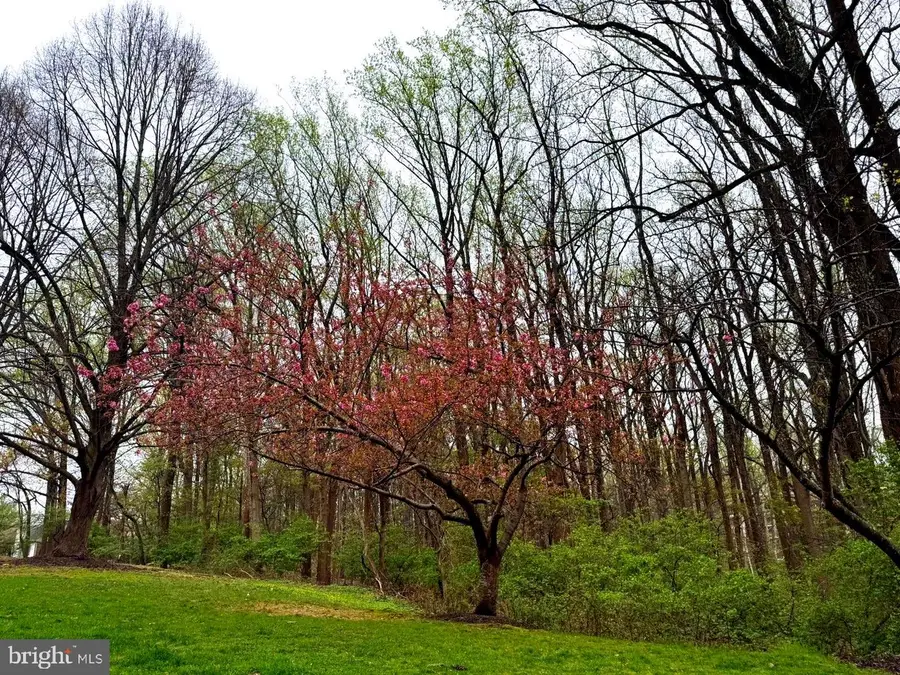 4815 Cloister, Rockville, MD 20852 - #3