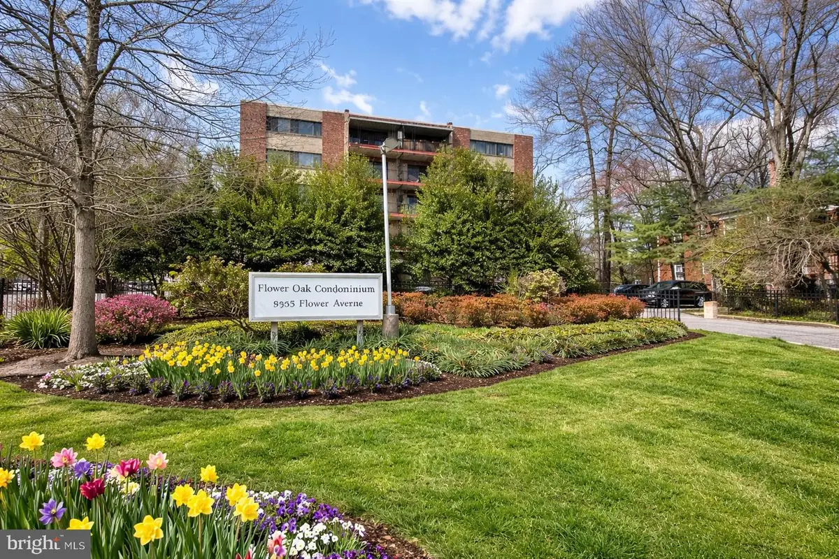 8308 Flower Ave #203, Takoma Park, MD 20912 - #1