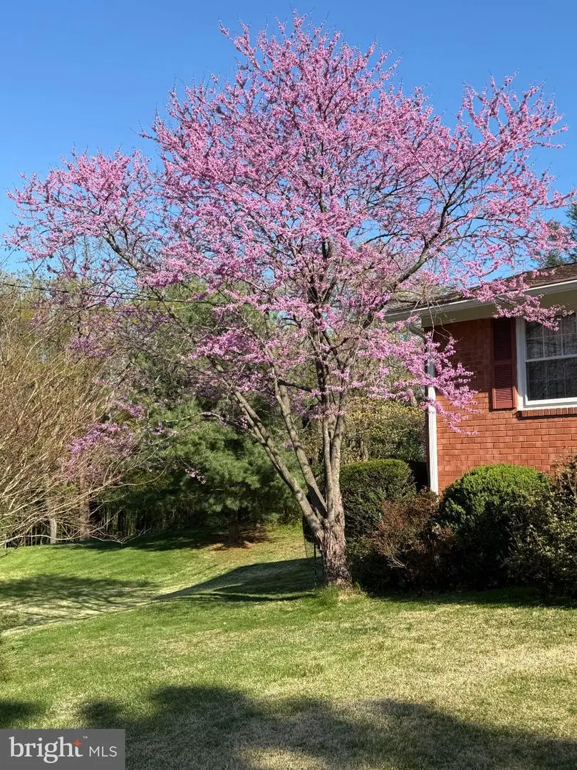 1421 Morningside Dr, Silver Spring, MD 20904 - #3