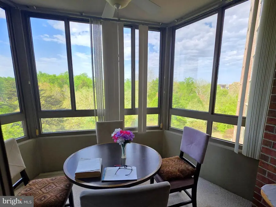 3100 N Leisure World Blvd #523, Silver Spring, MD 20906 - #3