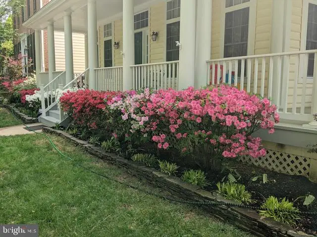 308 Barnside Pl, Rockville, MD 20850 - #3