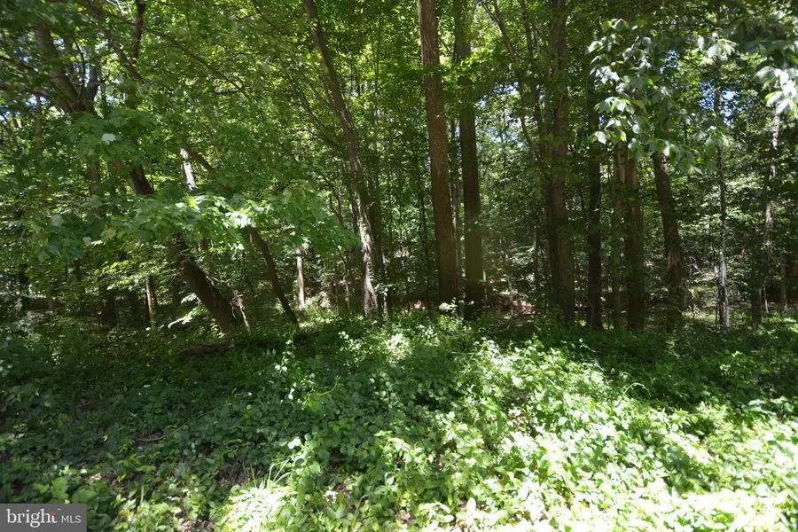Democracy Blvd, Potomac, MD 20854 - #2