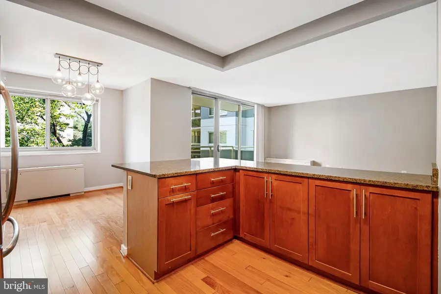 7333 New Hampshire Ave #420w, Takoma Park, MD 20912 - #3
