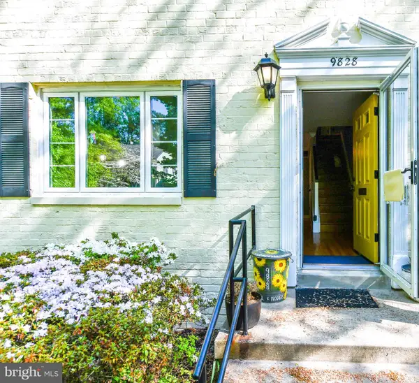 9828 Hollow Glen Pl #2560, SILVER SPRING, MD 20910