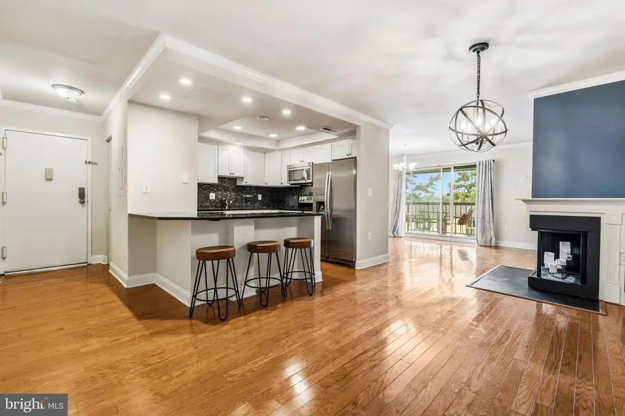 10008 Stedwick Rd #303, Montgomery Village, MD 20886 - #3