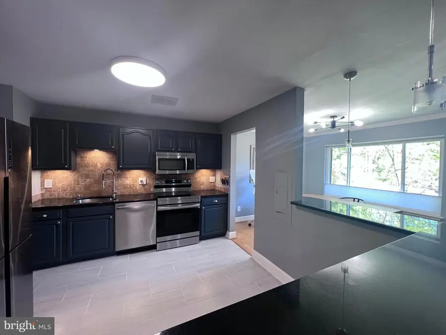 5821 Edson Ln #303, Rockville, MD 20852 - #3