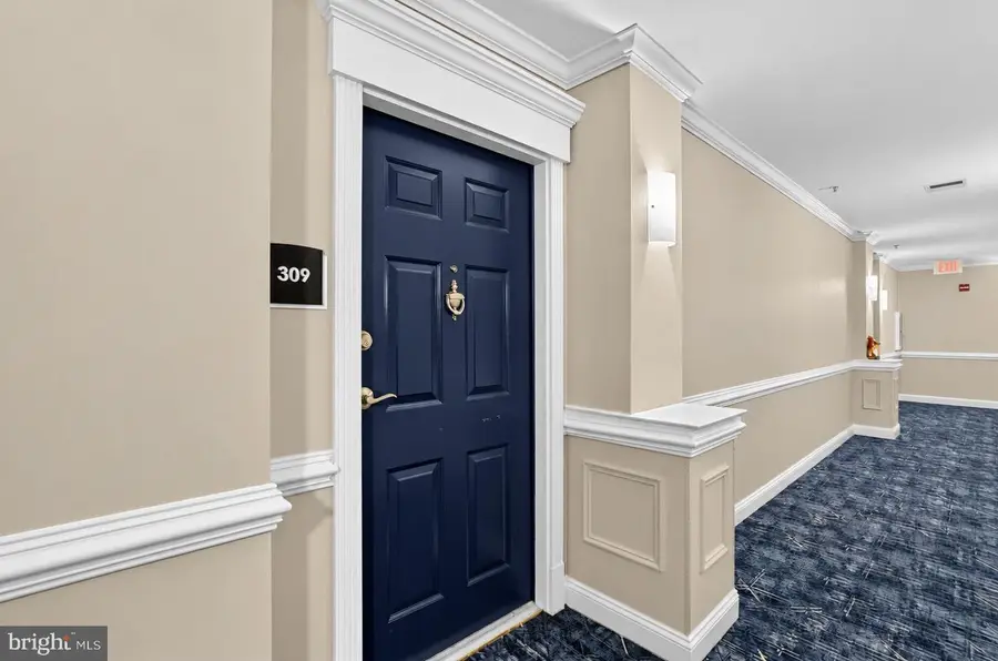 9405 Blackwell Rd #309, Rockville, MD 20850 - #3