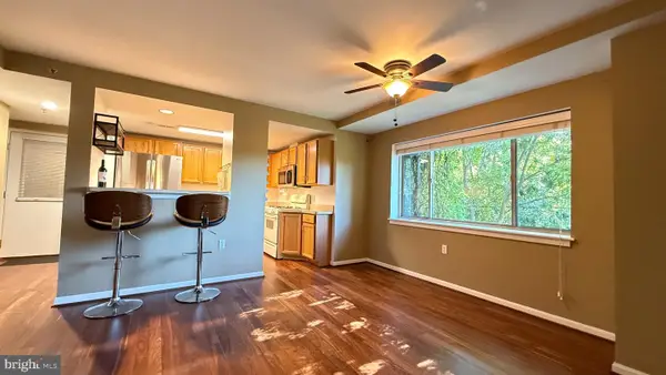 7981 Eastern Ave #301, SILVER SPRING, MD 20910