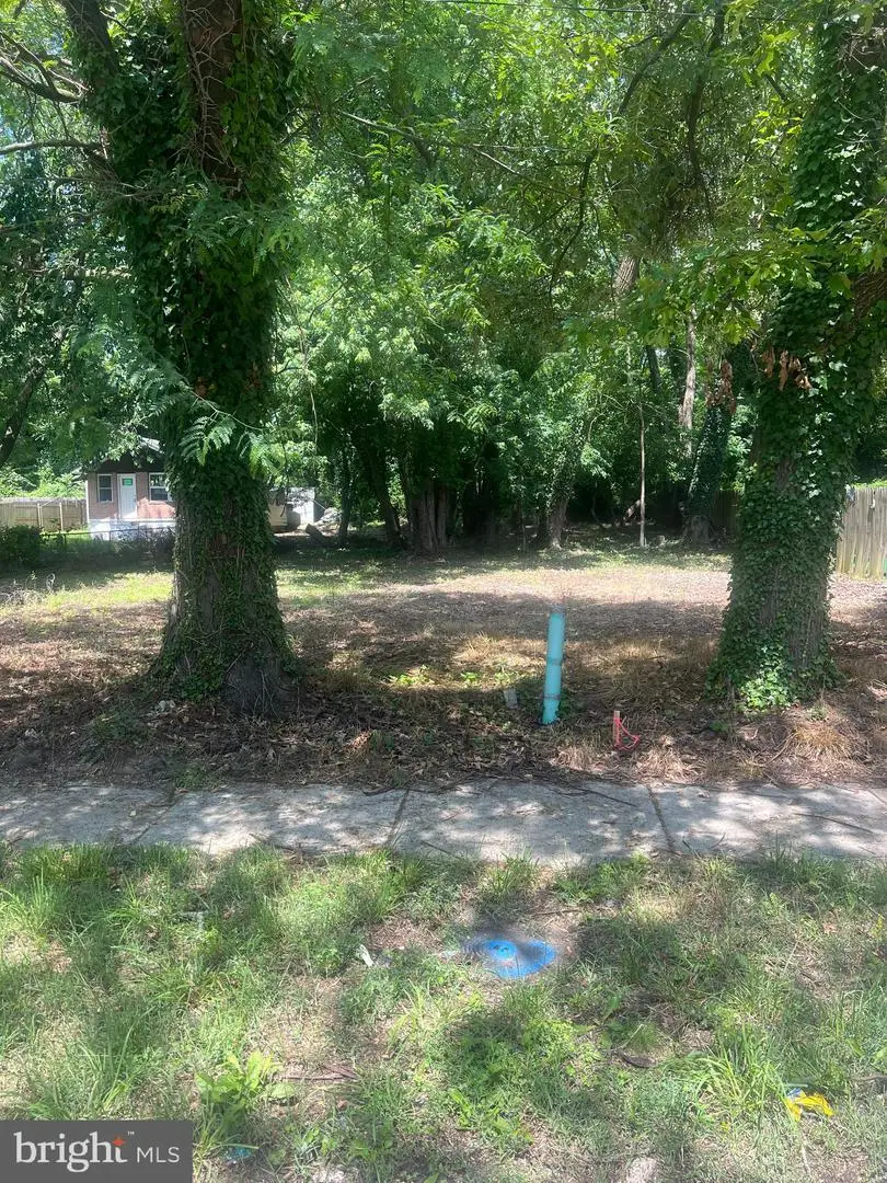 4810 Leroy Gorham Dr, Capitol Heights, MD 20743 - Image #3