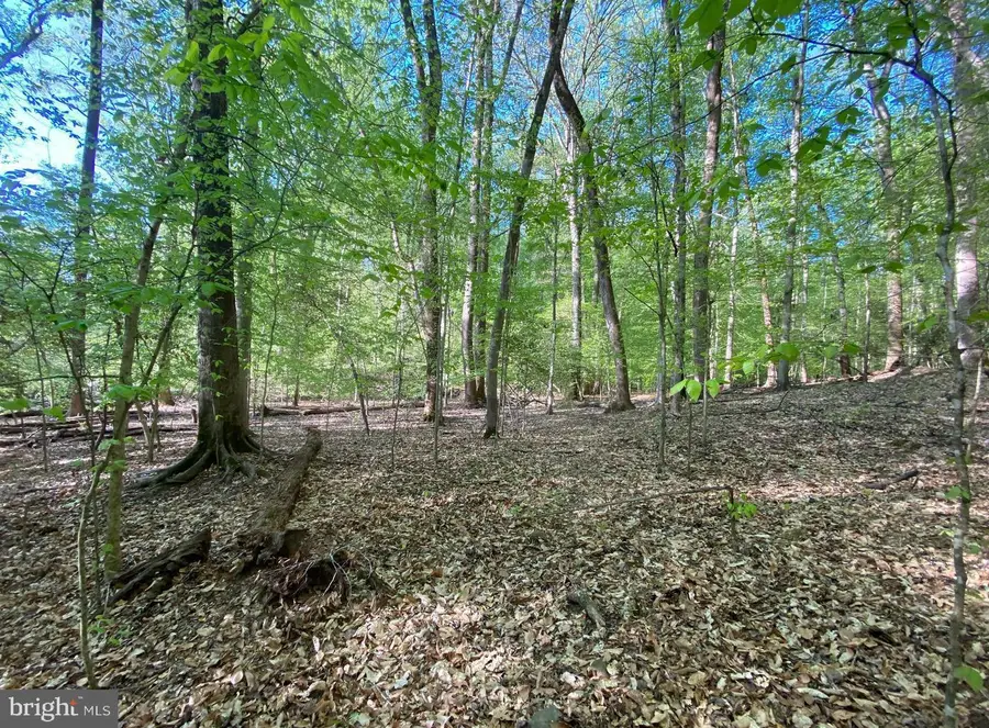 Hidden Valley Rd, Accokeek, MD 20607 - Image #2