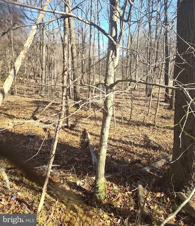 Saint Barnabas Road, Oxon Hill, MD 20745 - Image #2