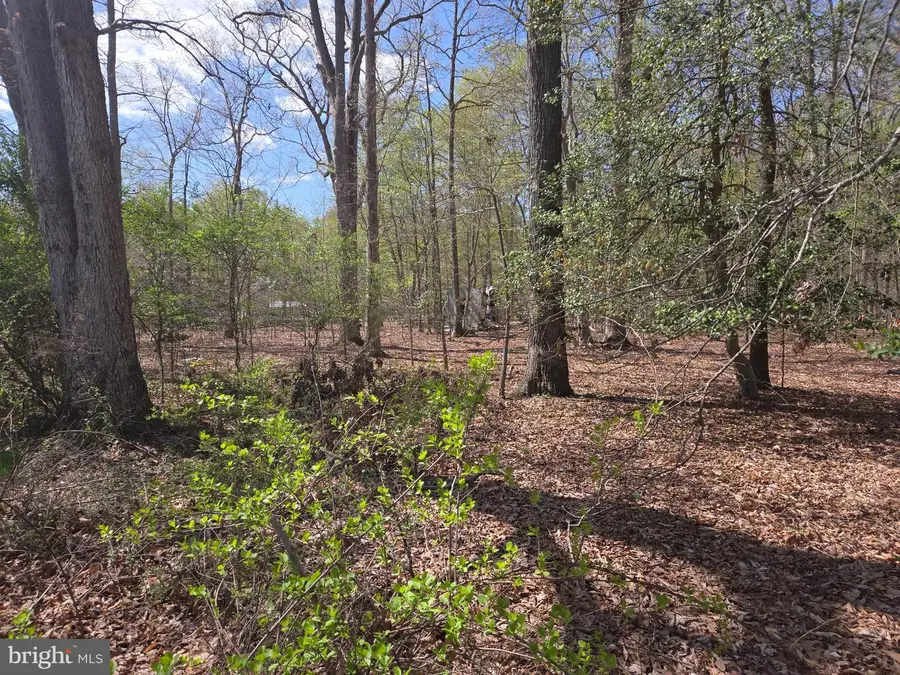 Newasa Ln, Accokeek, MD 20607 - Image #3