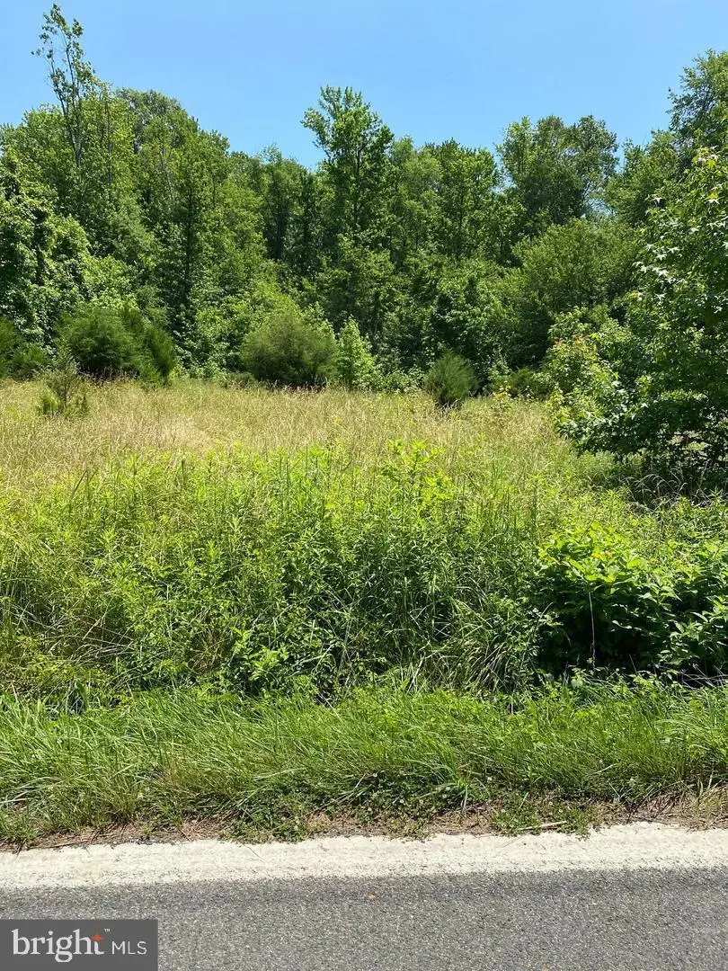 16950 Livingston Road, Accokeek, MD 20607 - Image #1