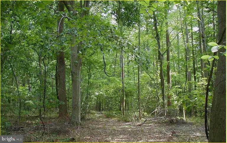 12605 Cedarville Rd, Brandywine, MD 20613 - Image #1