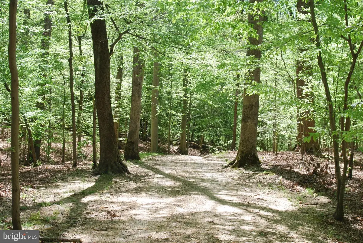 Parcel 45 Bryan Point Rd, Accokeek, MD 20607 - Image #1