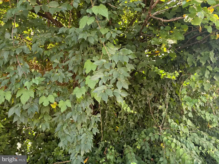 5623 Annapolis Rd, Bladensburg, MD 20710 - Image #3