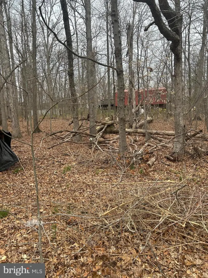 13803 Old Jericho Park Rd, Bowie, MD 20720 - Image #3