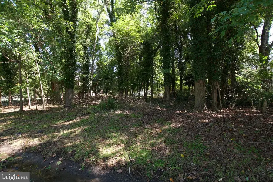 12304 Hatton Point Rd, Fort Washington, MD 20744 - Image #3