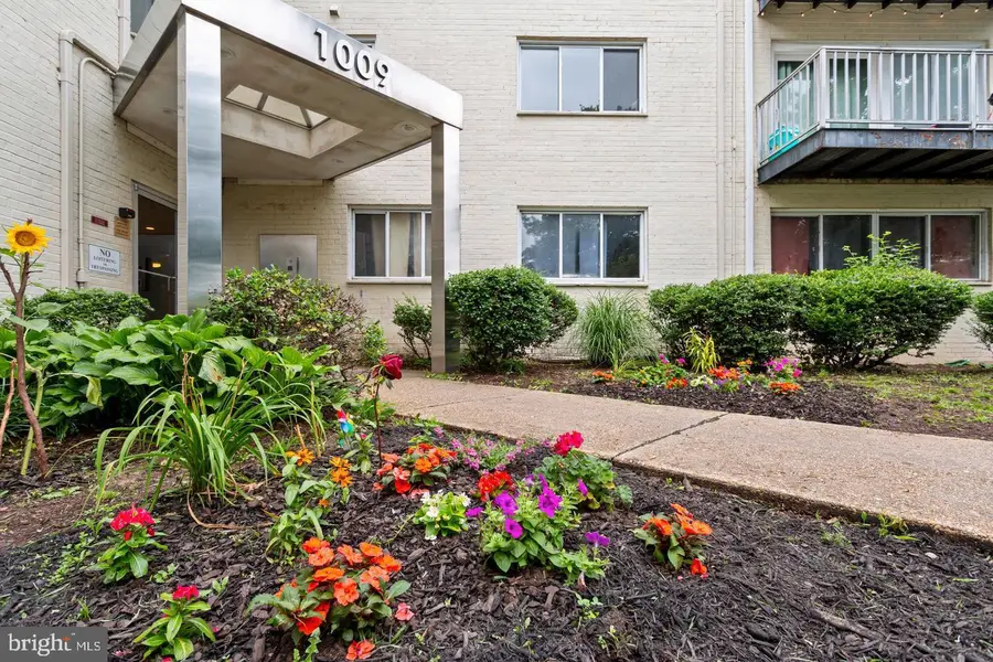 1009 Chillum Rd #206, Hyattsville, MD 20782 - Image #3